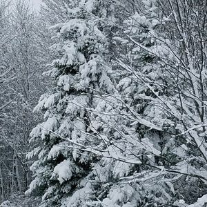 Meet your Posher, Lynn